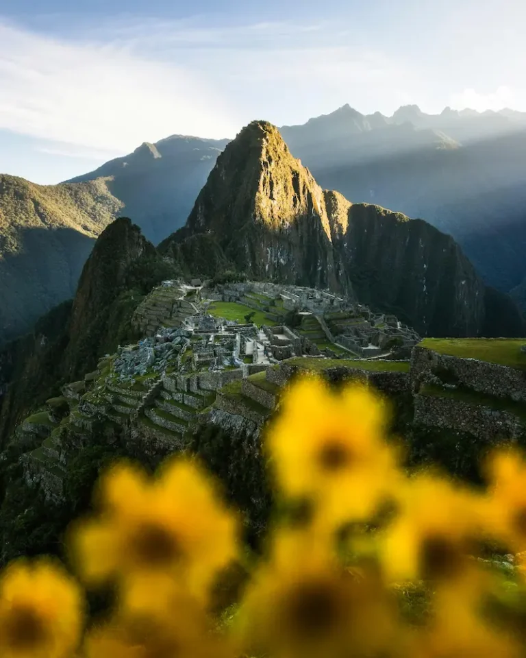Machu Picchu in morning light with yellow flowers