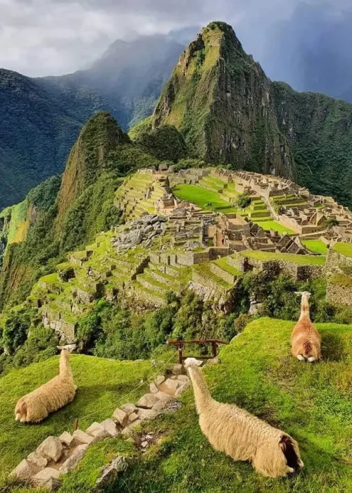 machu picchu tickets circuit 2